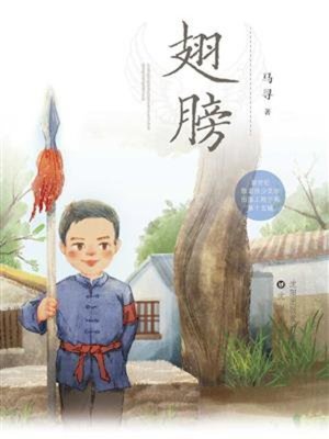 cover image of 翅膀